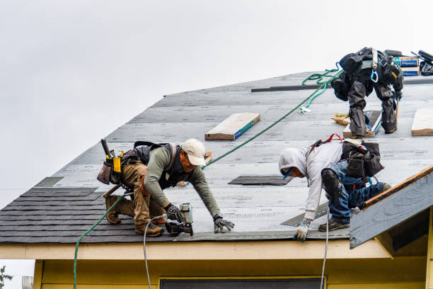 Professional Roofing technician working in Halbur, IA
